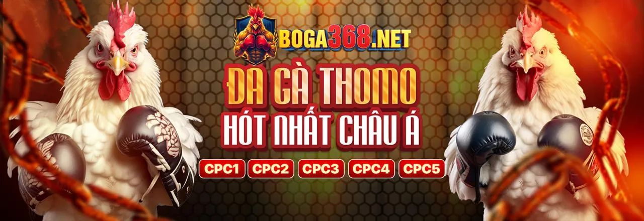 Chính sách cookie của 78vin đảm bảo an toàn và bảo mật thông tin